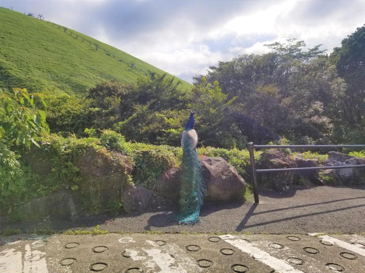 Futo スマートステイ大室山3合目 빌라 외부 사진